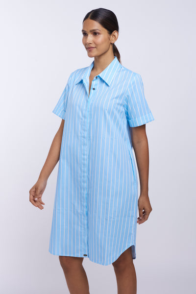 Blue Stripes Butto -Down Dress